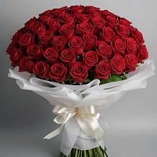 Букет 101 Красная роза Блэк Мэджик в Шенкурске