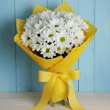 Букет цветов из:  Хризантемы #REPLACE_PRED# Шенкурске