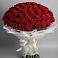 Букет 101 Красная роза Блэк Мэджик в Шенкурске