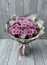 Букет цветов из:  Хризантемы в Шенкурске