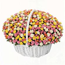 Премиум букет из: Розы в Шенкурске