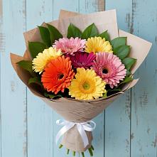 Букет цветов из:  Герберы #REPLACE_PRED# Шенкурске