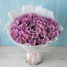 Букет цветов из:  Хризантемы в Шенкурске