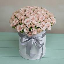 Цветочная композиция из Розы в шляпной коробке в Шенкурске