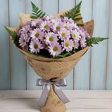 Букет цветов из:  Хризантемы в Шенкурске