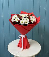Букет цветов из:  Хризантемы в Шенкурске