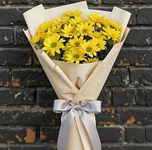 Букет цветов из:  Хризантемы в Шенкурске