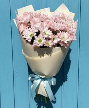 Букет цветов из:  Хризантемы в Шенкурске