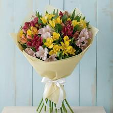 Букет цветов из:  Альстромерии #REPLACE_PRED# Шенкурске