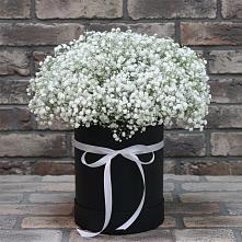 Цветочная композиция из Гипсофила в шляпной коробке #REPLACE_PRED# Шенкурске
