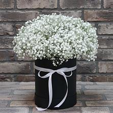 Цветочная композиция из Гипсофила в шляпной коробке в Шенкурске