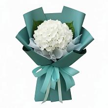 Букет цветов из:  Гортензия в Шенкурске